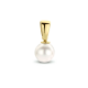 14 karaats Gouden Hanger Met zoetwater parel 6mm - 62361