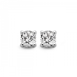 Moments Zilver oorbel 72714AW - 61600