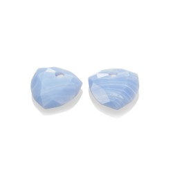 Sparkling jewels earstone / Trillion Cut Blou lace agate - 63652