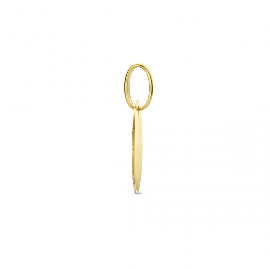 14 krt gouden graveerhanger 12mm 1.7mm - 64398
