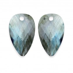 Sparkling jewelry / earstones / blossom / labradorite - 64660