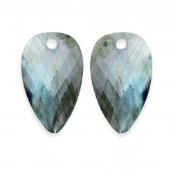 Sparkling jewelry / earstones / blossom / labradorite - 64660