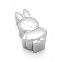 Tanden / haarlok doosje Nijntje - 65815